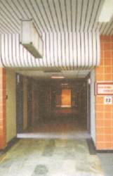 W �rodku Polsko-Ameryka�skiego Instytutu Pediatrii Centrum Ambulatoryjnego Leczenia Dzieci w Krakowie - Prokocimiu